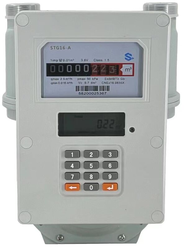 Intervallo di misura 0-9999 M3 LoraWan Smart Gas Meter utilizzando la modalità di comunicazione LoRaWAN per il monitoraggio dell'uso del gas industriale