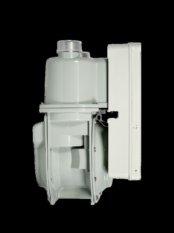 Intervallo di misura 0-9999 M3 LoraWan Smart Gas Meter utilizzando la modalità di comunicazione LoRaWAN per il monitoraggio dell'uso del gas industriale