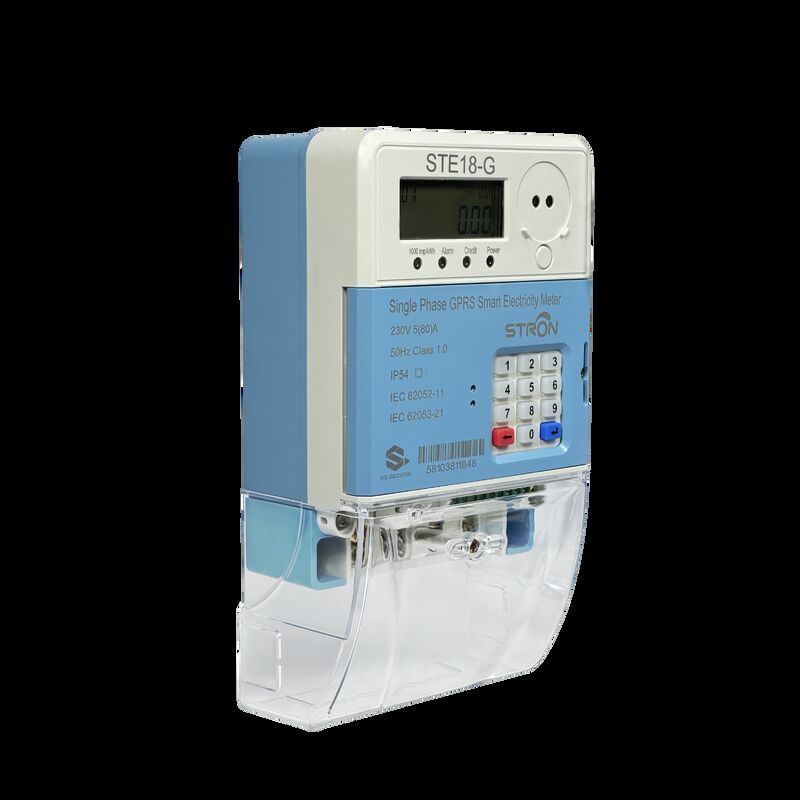 Voltaggio nominale 230V 30 a 120 per cento attrezzature di prova del contatore elettrico dotato di tastiera Input Way che fornisce dati e facile funzionamento