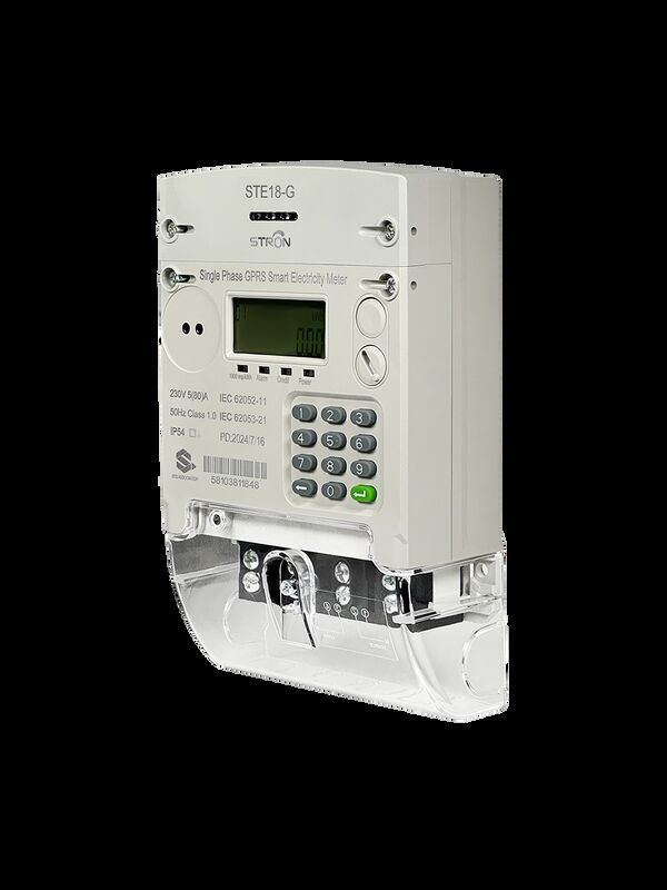 IP54 Protected Anti-Tamper Smart Prepaid 4G/GSM/GPRS Electricity Meter con vending software STS