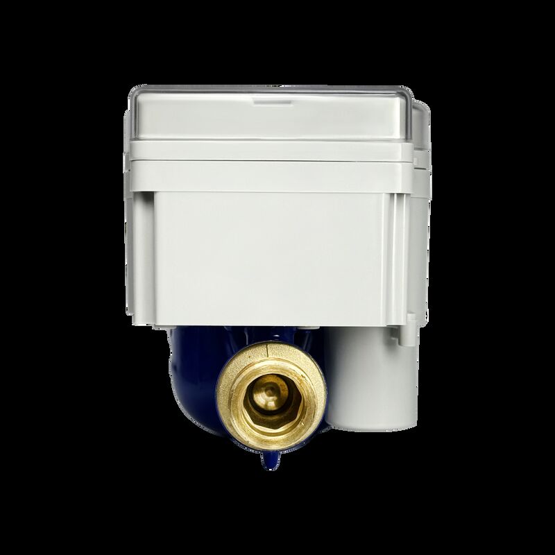 Contatore dell'acqua prepagato di tipo integrato STS con modulo RF LoRa e ricarica remota del concentratore