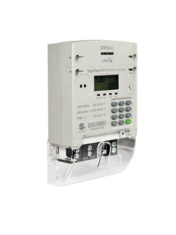 Contatore Elettrico Intelligente Prepagato con Design Monofase, Connettività GPRS 4G e Monitoraggio Remoto per Sistemi di Gestione Energetica