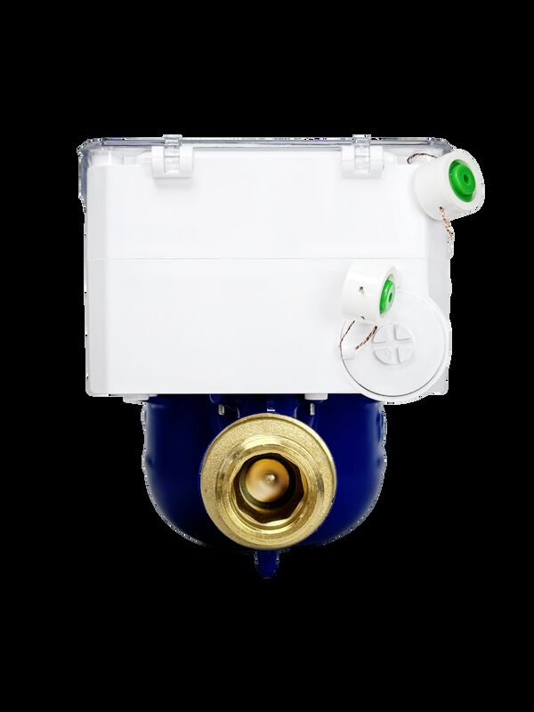 Dispositivo abilitato wireless Smart Water Meter che offre connettività senza soluzione di continuità e monitoraggio in tempo reale per la gestione dell'acqua