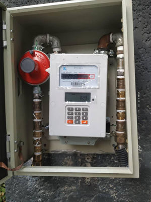 Contatore di gas intelligente a controllo remoto per applicazioni civili 2,4 kg