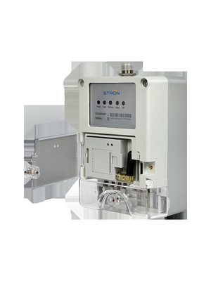LoRa-RF Data Concentrator Gateway per contatori intelligenti (300 unità, GPRS, 433/915MHz, IP54)