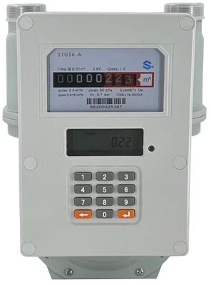 STS Tastepad Prepaid Gas Meter con sistema di vendita e API